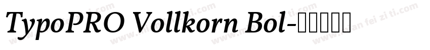 TypoPRO Vollkorn Bol字体转换